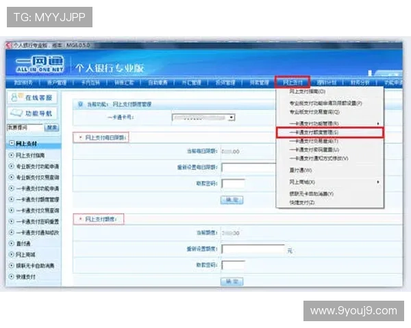 九游官网入口客服提供全面的游戏充值与支付问题解决方案 九游官网入口客服提供全面的游戏充值与支付问题解决方案